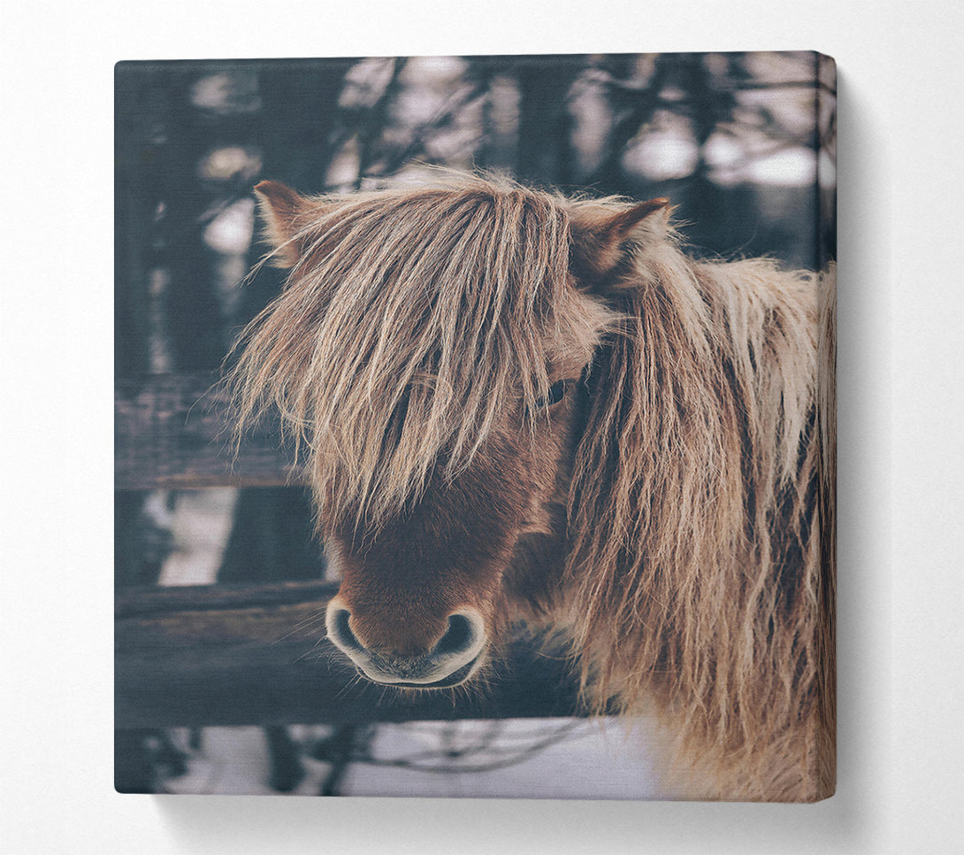  A Canvas Print of Brown Horse In Snow Canvas Print