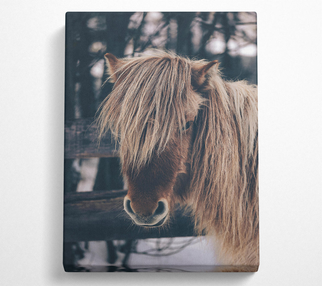  A Canvas Print of Brown Horse In Snow Canvas Print