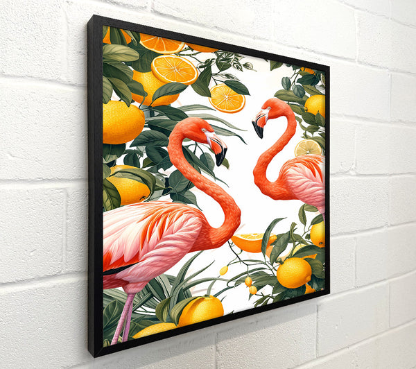 Orange And Pink Paradise