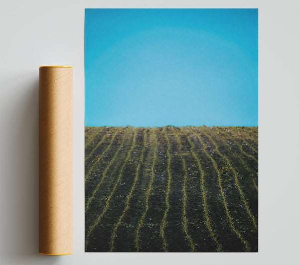 Blue Sky Rows Poster