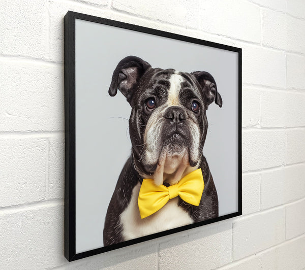 Yellow Bowtie Bulldog