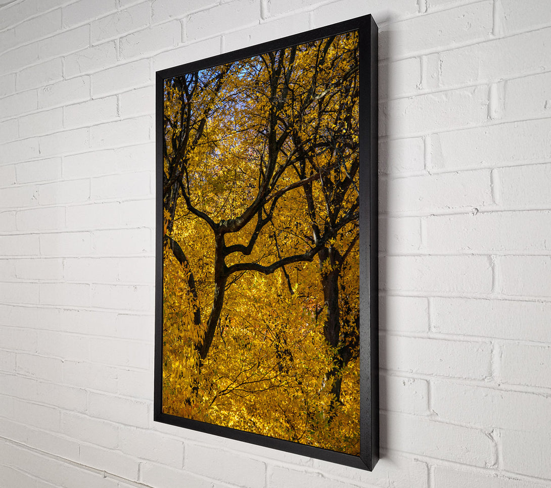  A Canvas Print of Golden Branch Intertwined Canvas Art