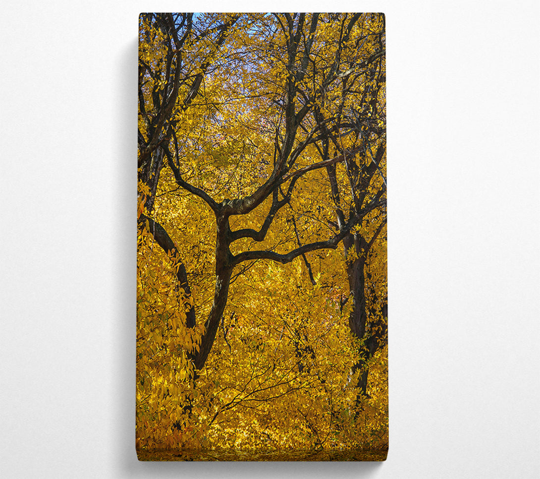  A Canvas Print of Golden Branch Intertwined Canvas Art