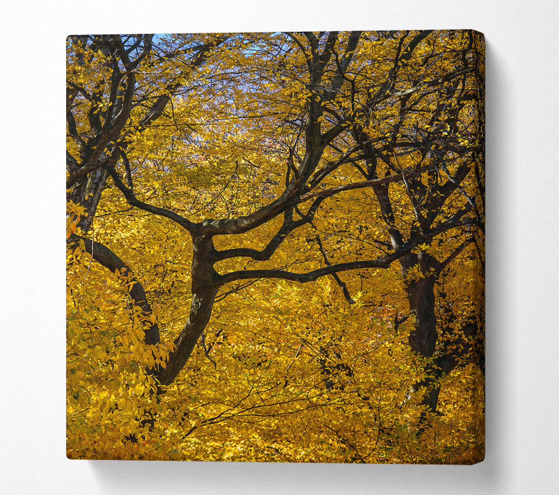  A Canvas Print of Golden Branch Intertwined Canvas Art