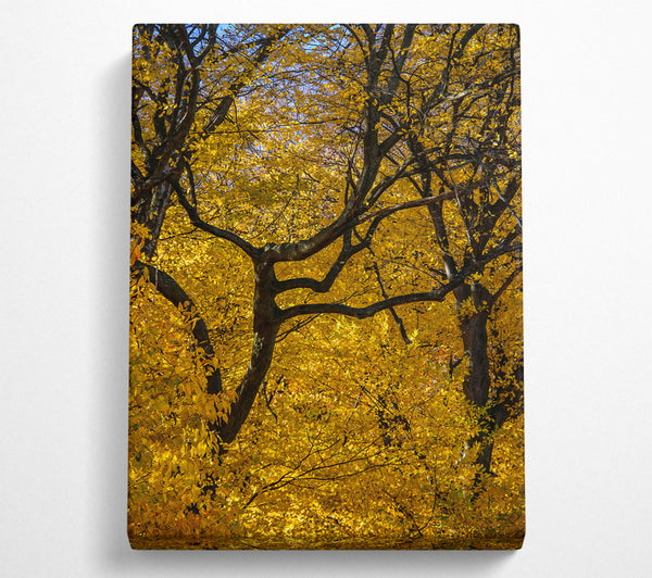  A Canvas Print of Golden Branch Intertwined Canvas Art