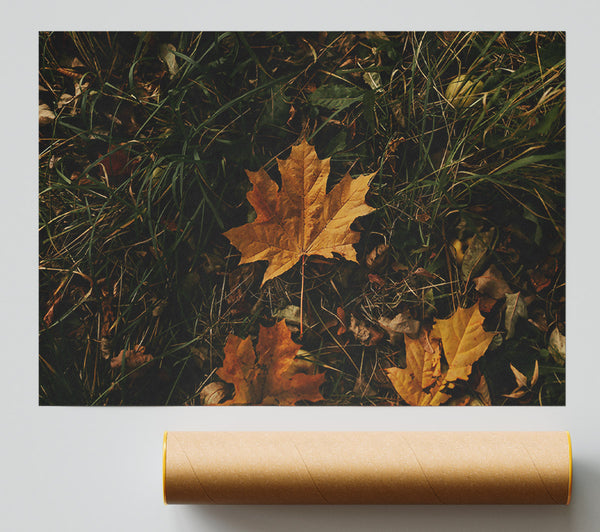 Golden Autumn Leaf Poster