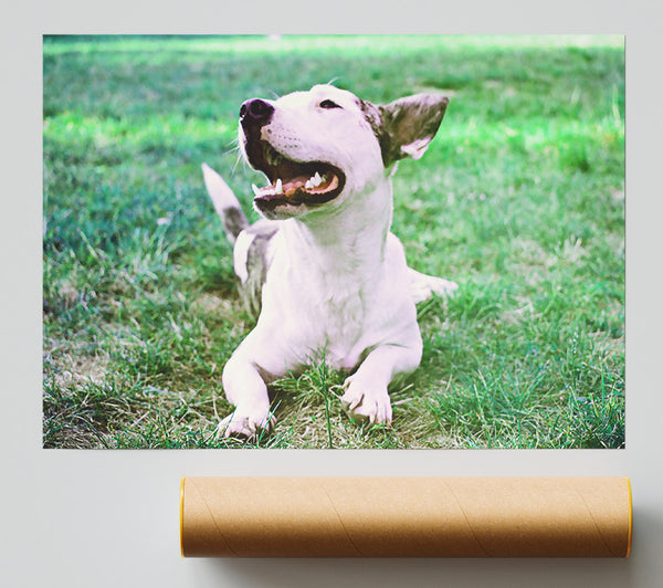 Green Grass Smile Giclee Print