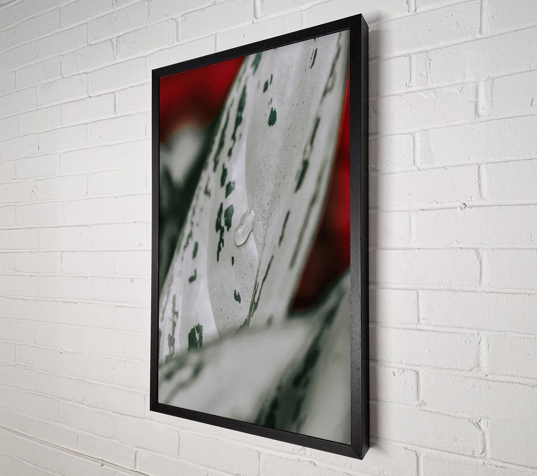  A Canvas Print of Silver Leaf Dewdrop Canvas Wall Art