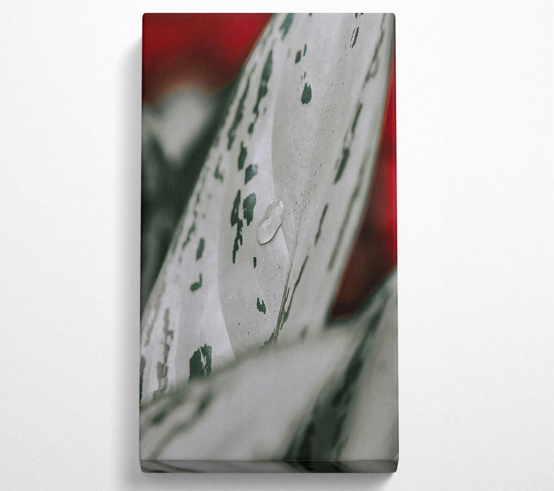  A Canvas Print of Silver Leaf Dewdrop Canvas Wall Art
