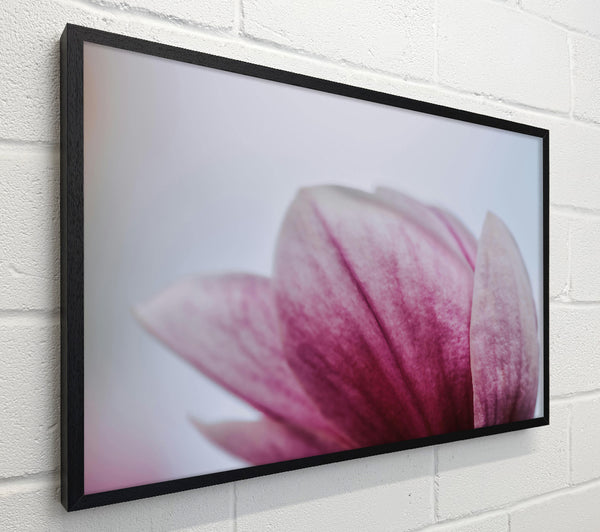 Pink Petal Embrace