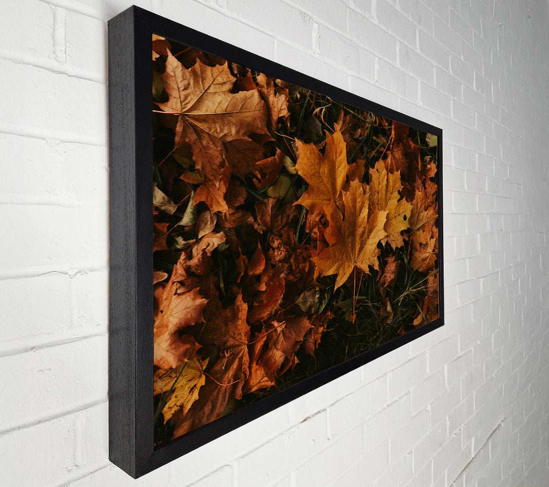  A Canvas Print of Golden Autumn Leaves Canvas Wall Art