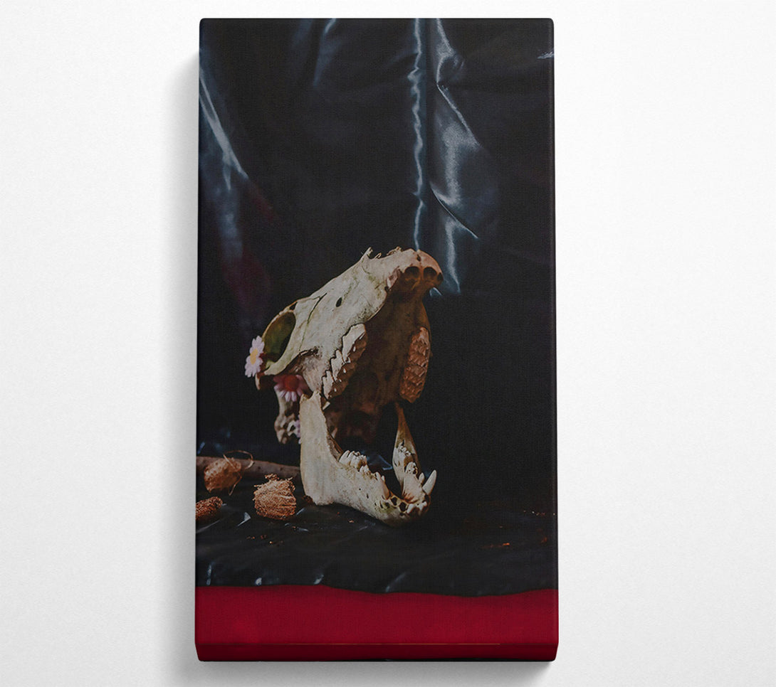 A Canvas Print of Black And Bone Silence Canvas Wall Art