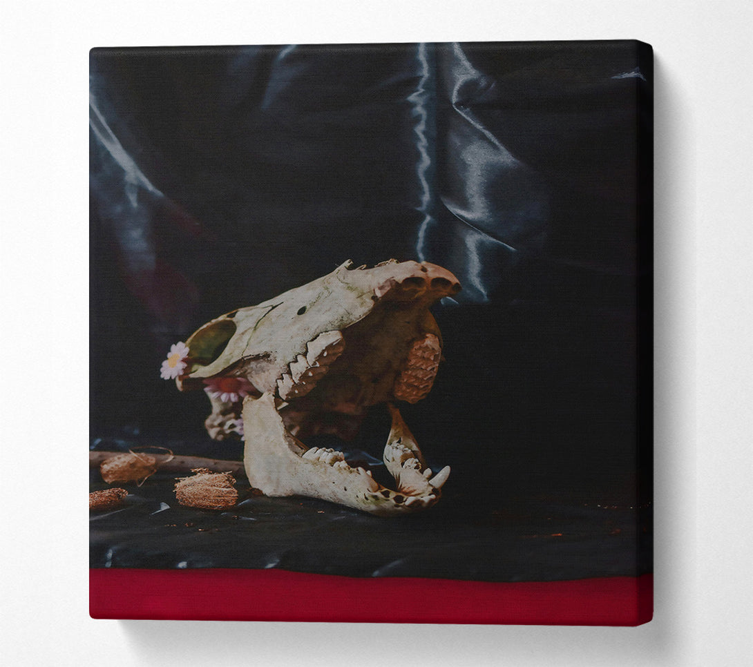  A Canvas Print of Black And Bone Silence Canvas Wall Art