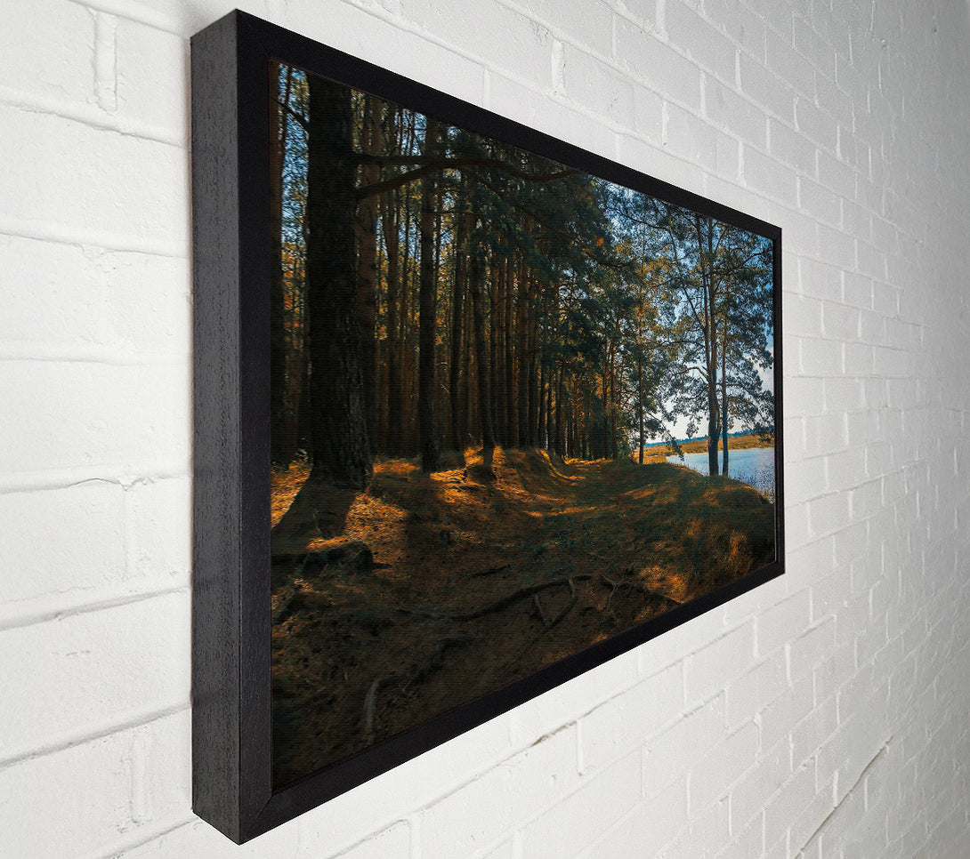  A Canvas Print of The Golden Riverbank Canvas Print