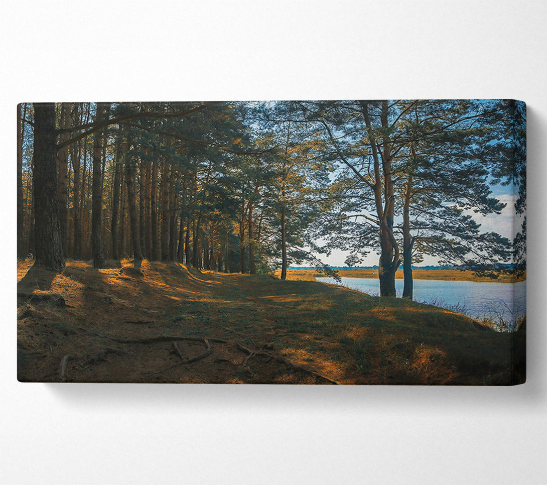  A Canvas Print of The Golden Riverbank Canvas Print
