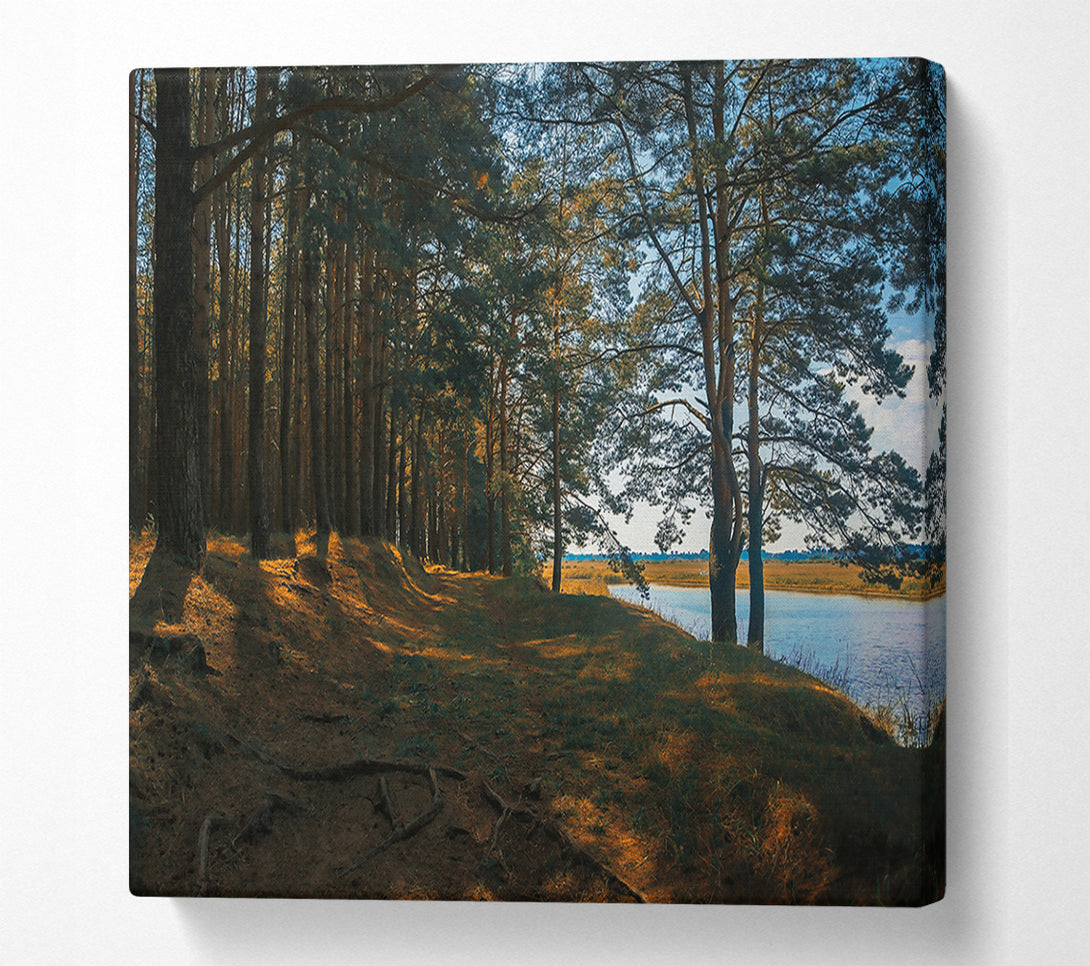  A Canvas Print of The Golden Riverbank Canvas Print