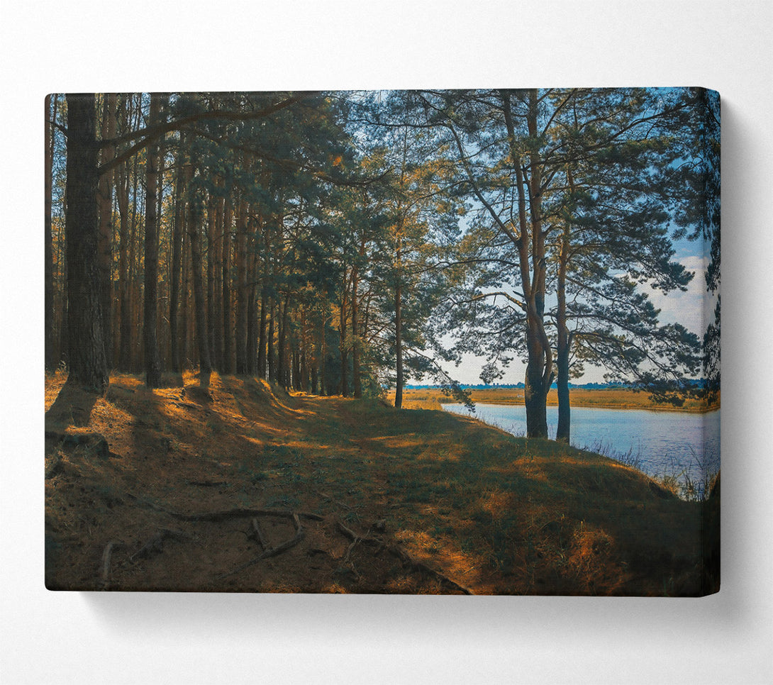  A Canvas Print of The Golden Riverbank Canvas Print