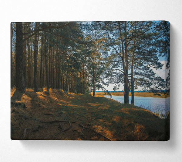  A Canvas Print of The Golden Riverbank Canvas Print