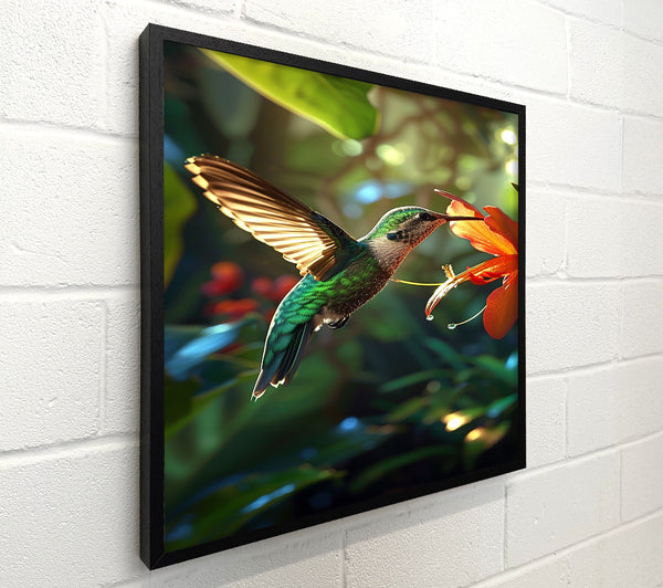 Emerald Hummingbird'S Nectar