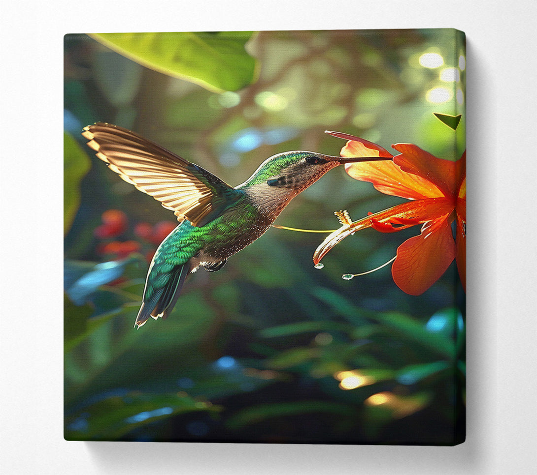  A Canvas Print of Emerald Hummingbird'S Nectar Canvas Art