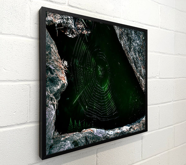 Emerald Web Trap