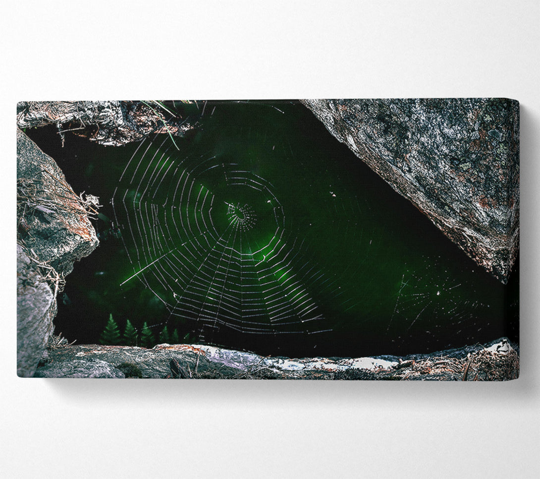  A Canvas Print of Emerald Web Trap Canvas Print