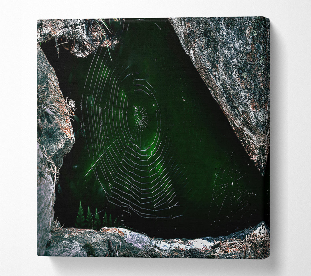  A Canvas Print of Emerald Web Trap Canvas Print