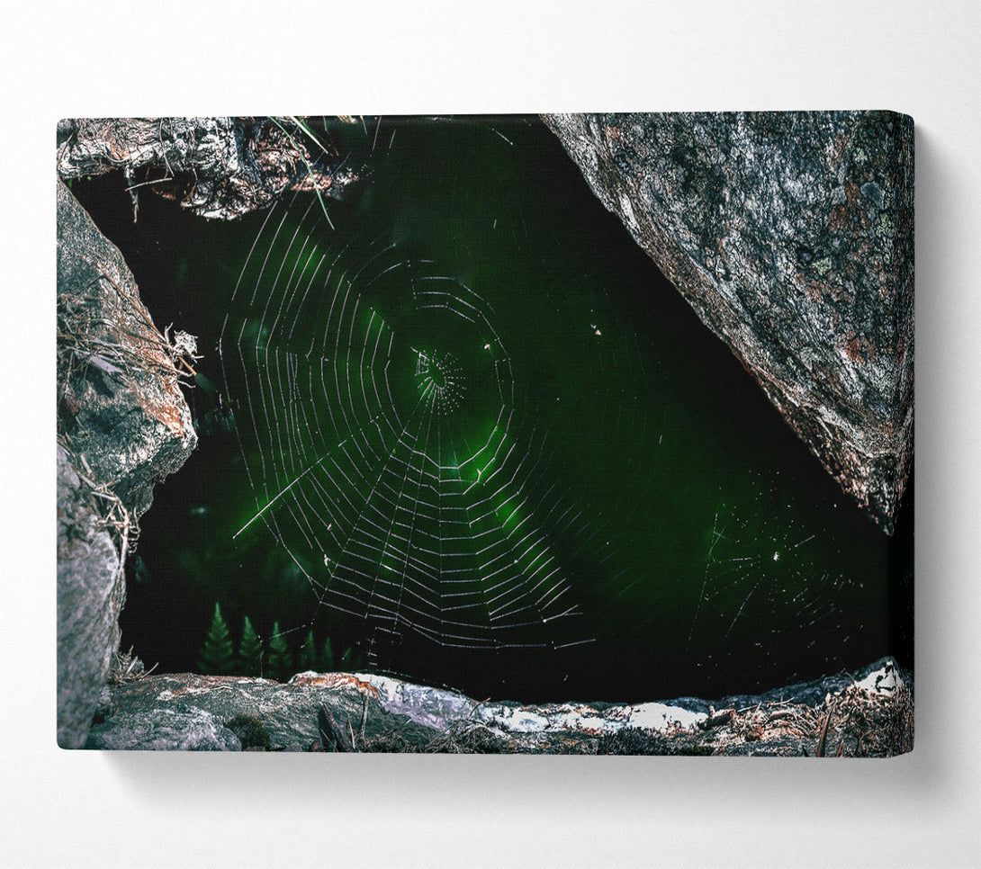  A Canvas Print of Emerald Web Trap Canvas Print
