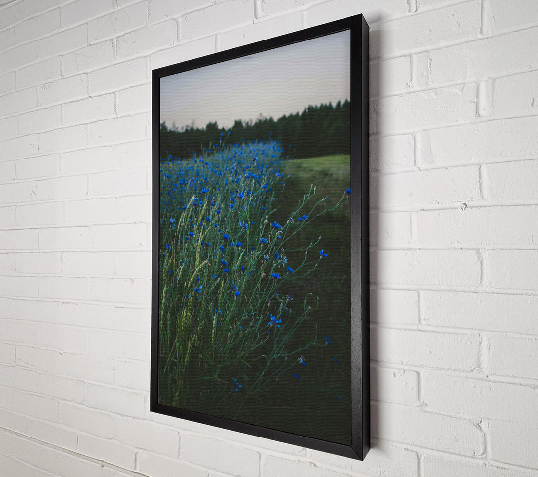  A Canvas Print of Azure Field Of Dreams Canvas Art