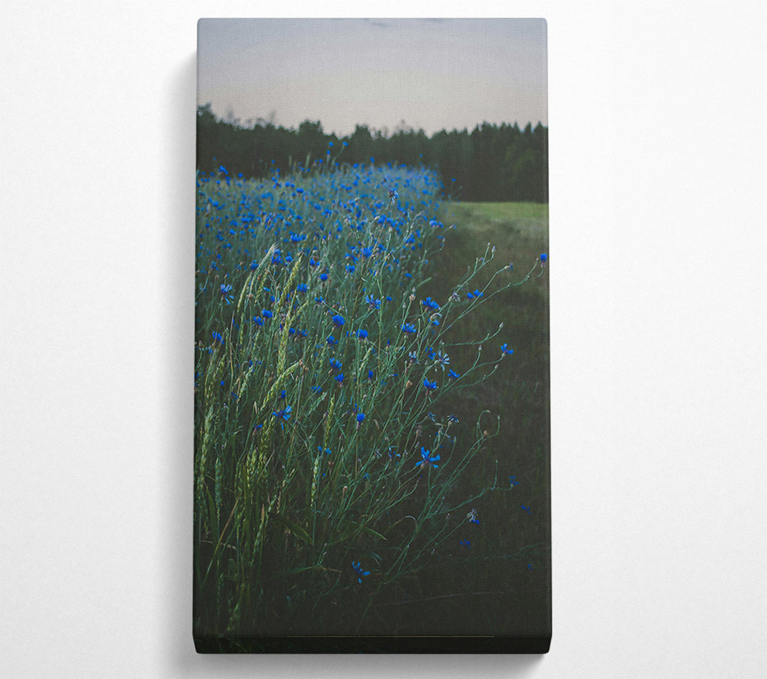  A Canvas Print of Azure Field Of Dreams Canvas Art