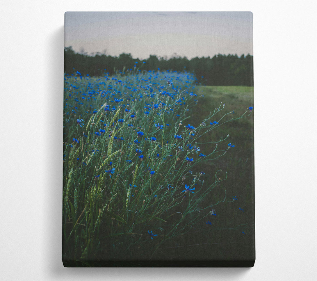  A Canvas Print of Azure Field Of Dreams Canvas Art