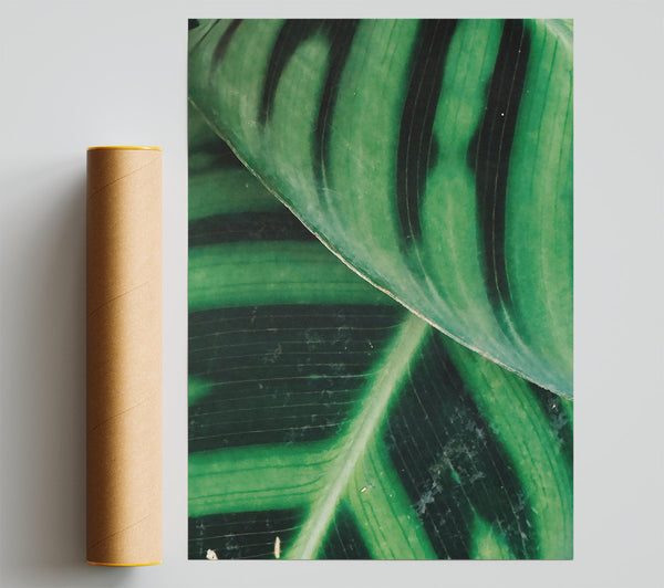 Emerald Leaf Tapestry Giclee Print