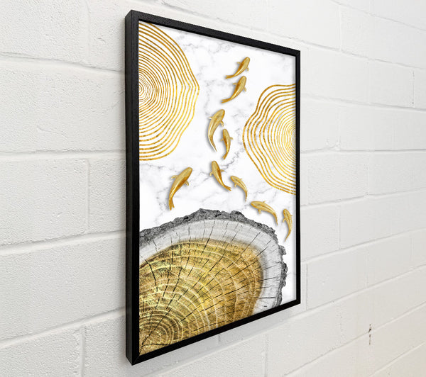 Gold Fish (2)