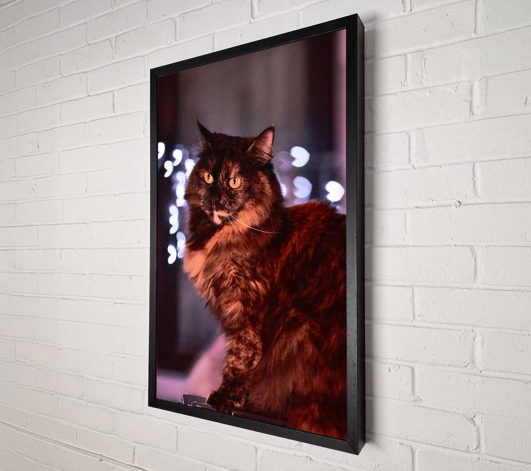  A Canvas Print of Golden Brown Feline Gaze Canvas Wall Art