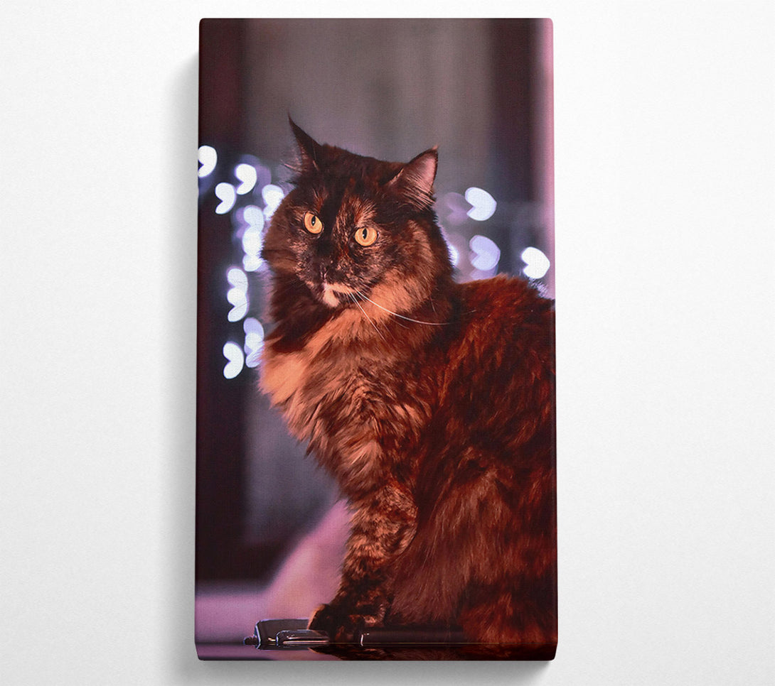  A Canvas Print of Golden Brown Feline Gaze Canvas Wall Art