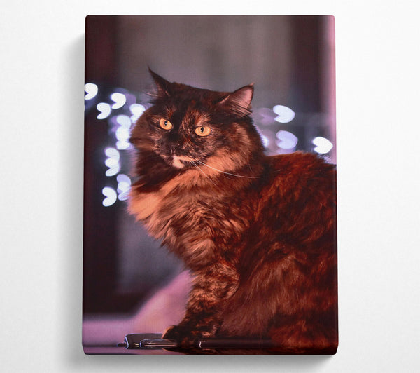  A Canvas Print of Golden Brown Feline Gaze Canvas Wall Art
