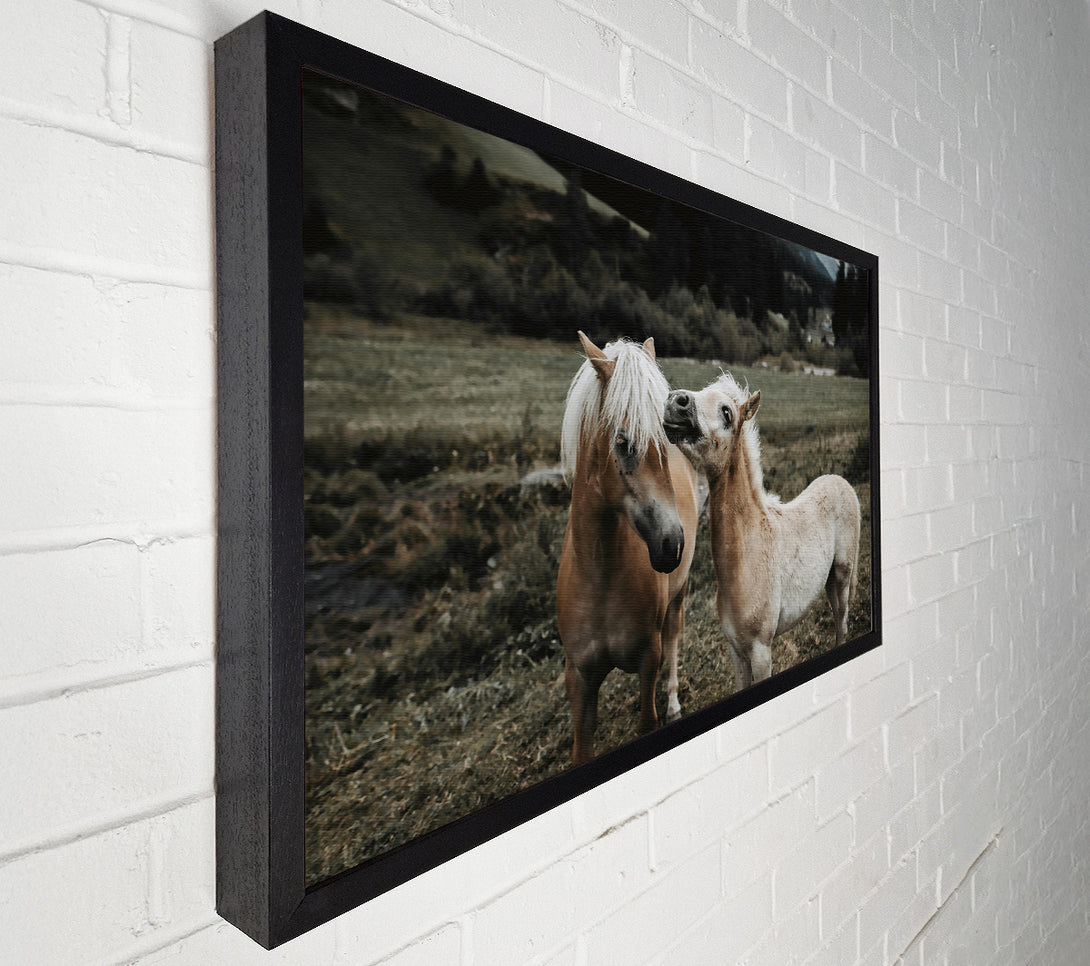  A Canvas Print of Golden Meadow Playtime Canvas Art