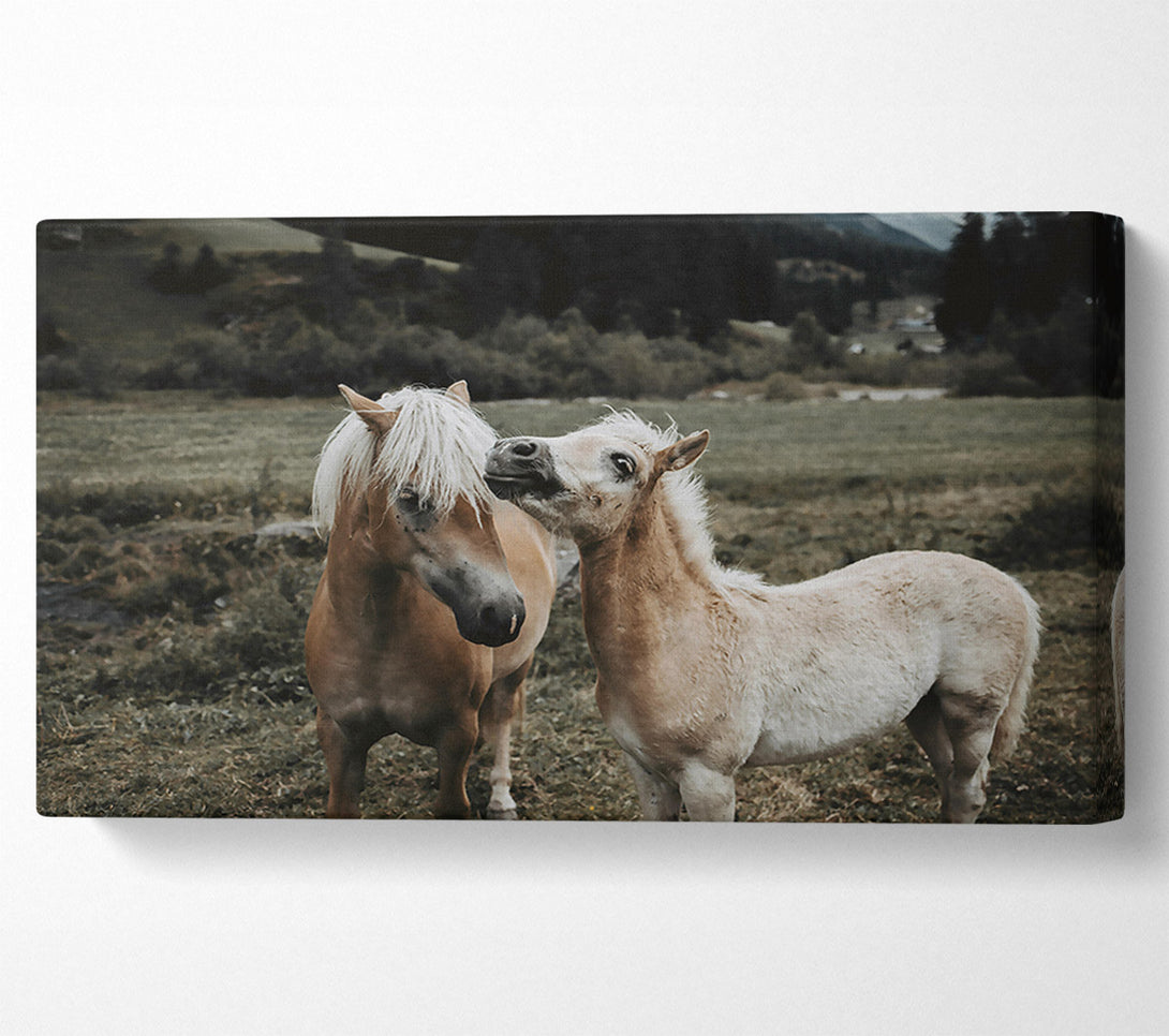  A Canvas Print of Golden Meadow Playtime Canvas Art