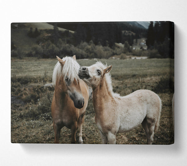  A Canvas Print of Golden Meadow Playtime Canvas Art