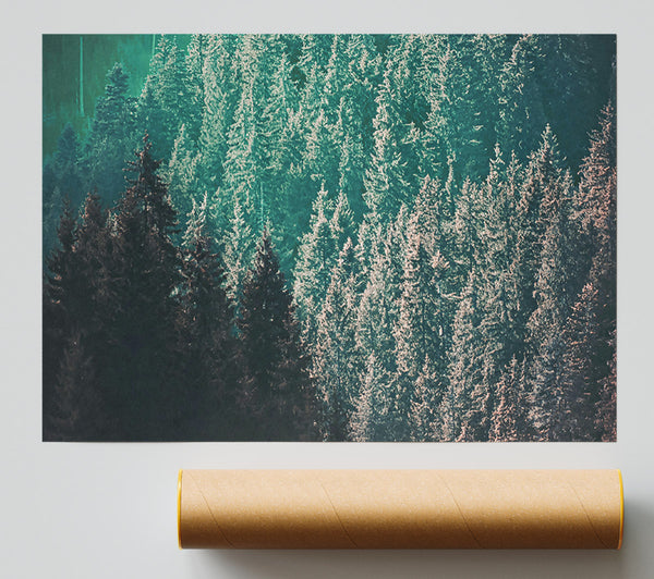 Teal Forest Dreams Print