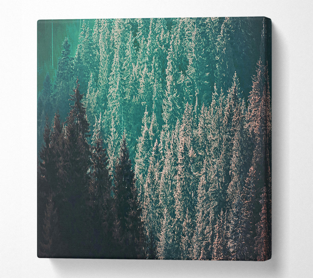 A Canvas Print of Teal Forest Dreams Canvas Print