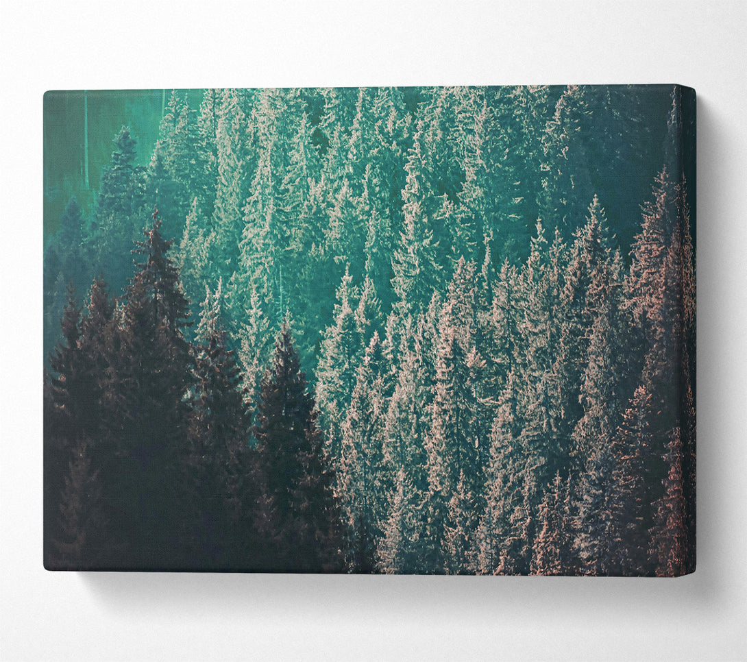  A Canvas Print of Teal Forest Dreams Canvas Print