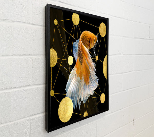 Gold Fish With Gold Spots