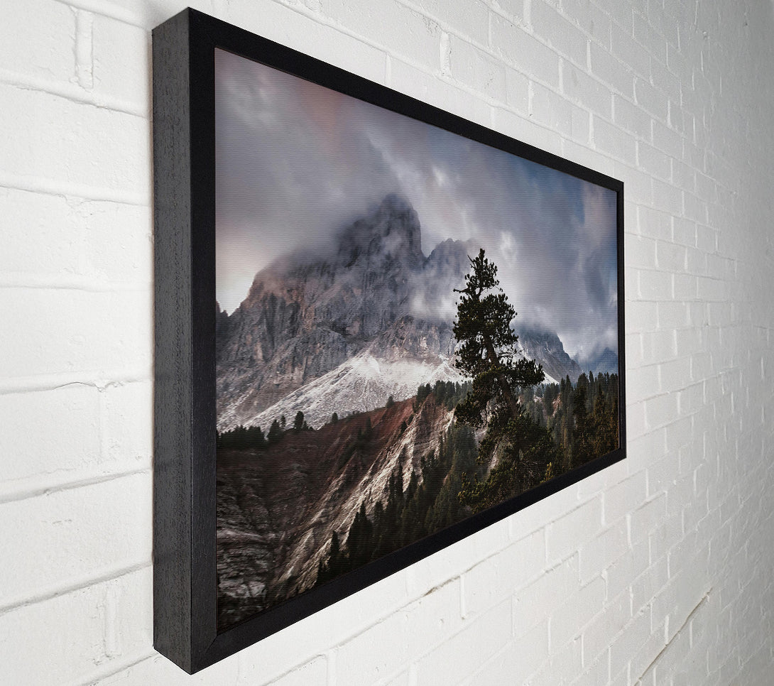  A Canvas Print of Gray Mountain Solitude Canvas Print