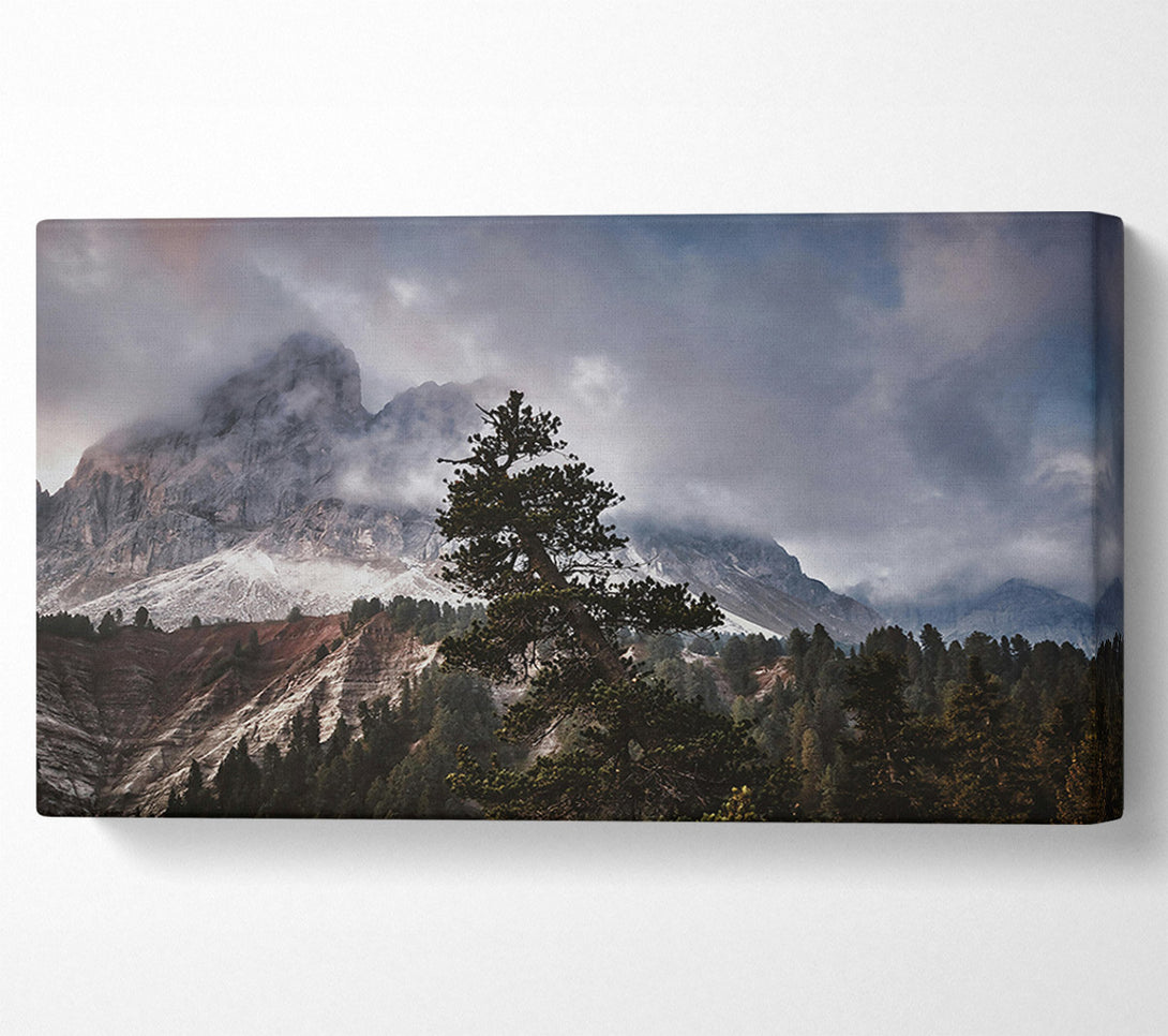  A Canvas Print of Gray Mountain Solitude Canvas Print