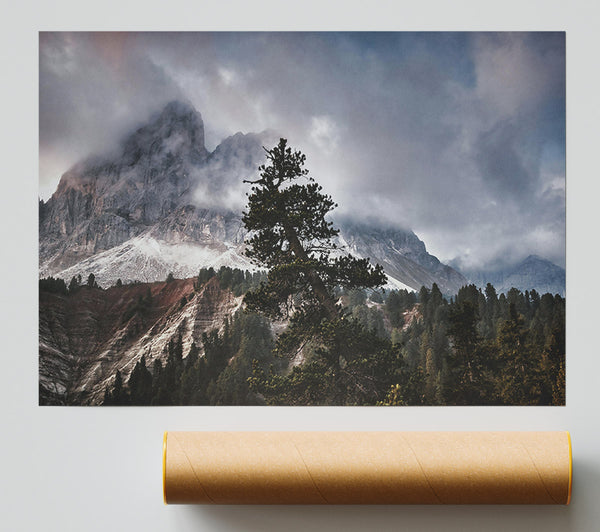 Gray Mountain Solitude Print
