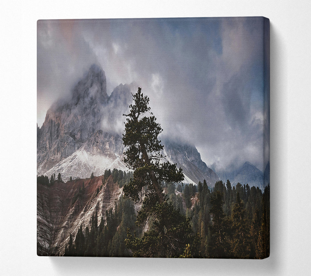  A Canvas Print of Gray Mountain Solitude Canvas Print