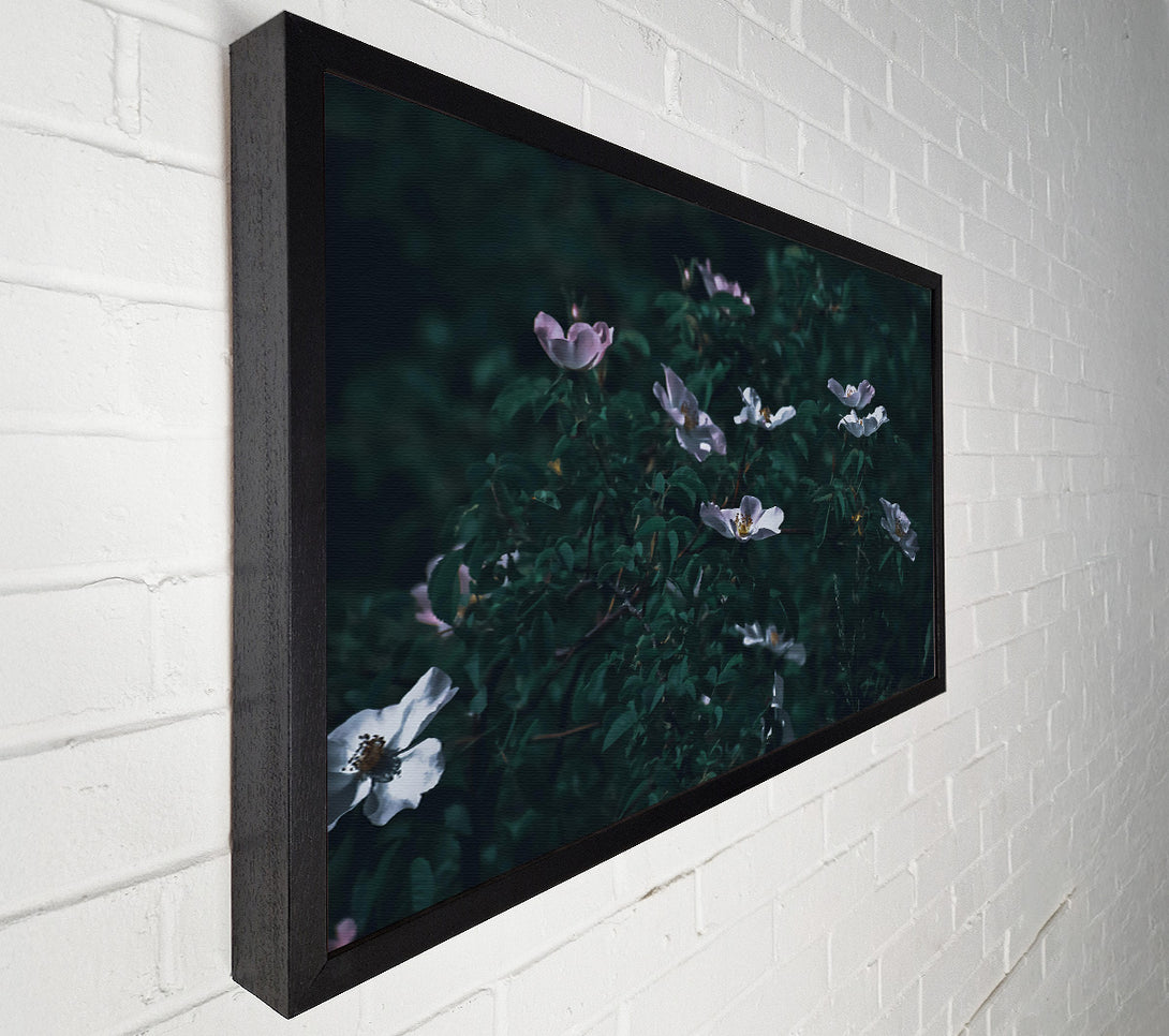  A Canvas Print of Green And White Blooms Canvas Art