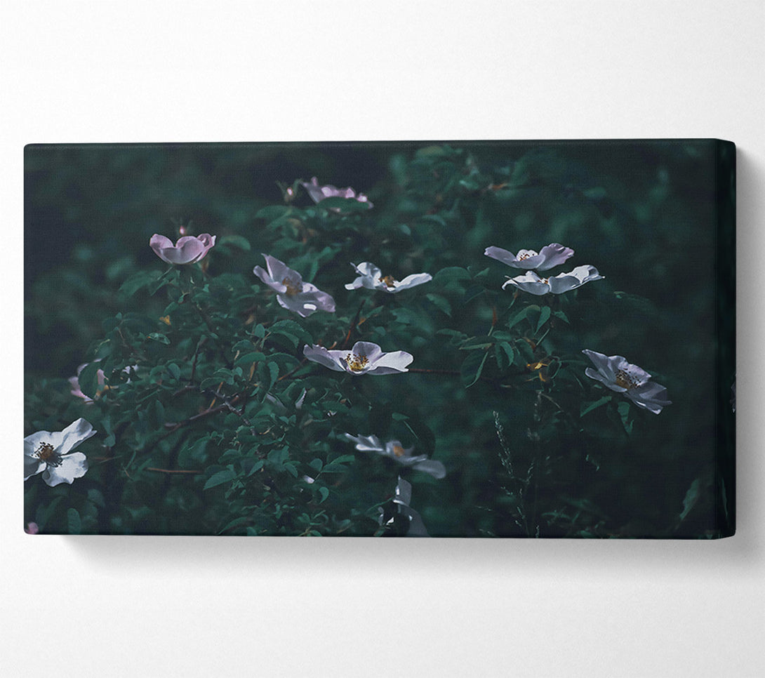  A Canvas Print of Green And White Blooms Canvas Art