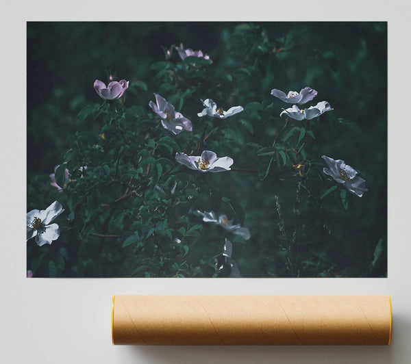 Green And White Blooms Poster